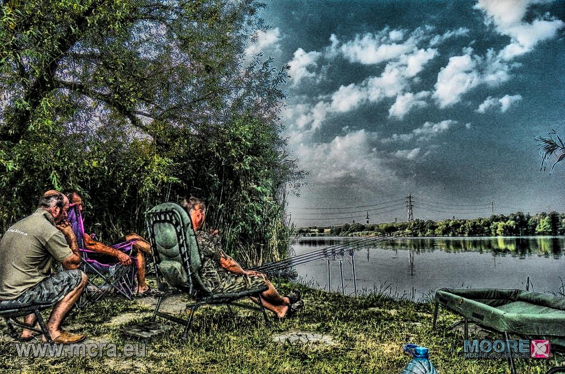 MeetCarp Romanian Awards 2013 - 1010097hdrmode2-2.jpg